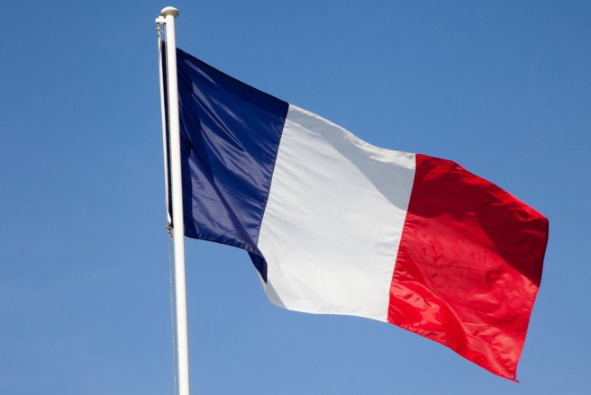 Les onze candidats à la présidentielle ont rendu publique leur déclaration de patrimoine. © Shutterstock