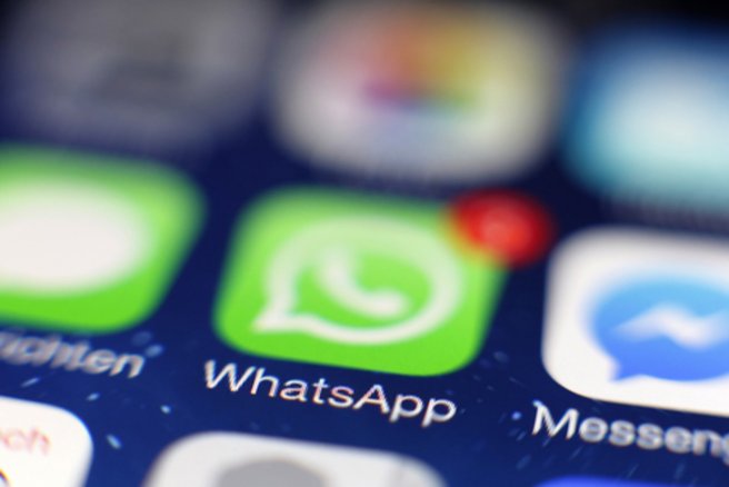 Cette enquête internationale a mobilisé les services de police d'Espagne, de 15 pays d'Amérique Latine, d'Europol et d'Interpol. © Shutterstock