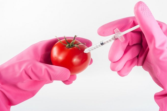 Une technique permettant d'obtenir des OGM sans ajouter de matériel génétique étranger. © CC.