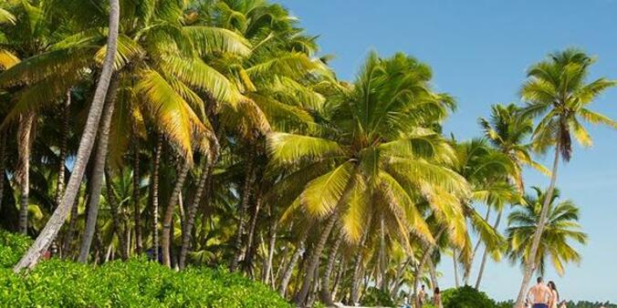 Voyage pas cher à Punta Cana