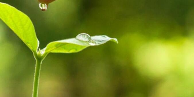 14 gestes simples pour réduire sa consommation d’eau