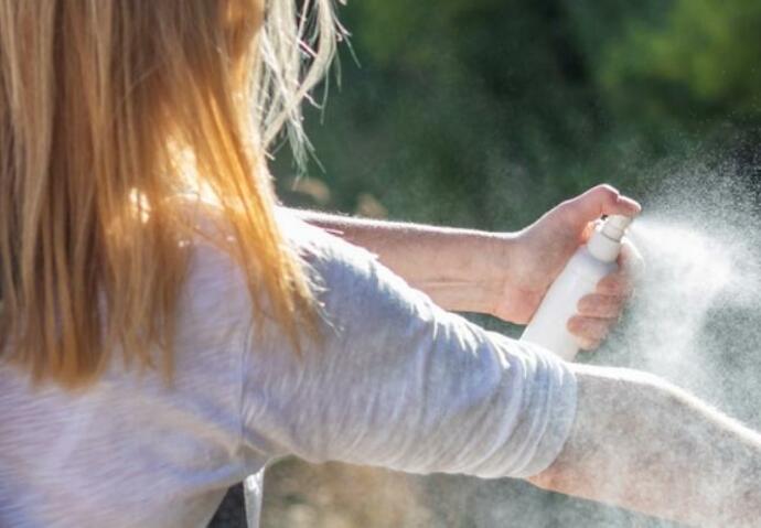 Spray anti-insectes