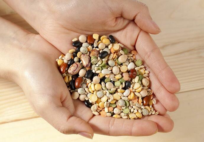 alimantation protéines légumes viande céréales santé