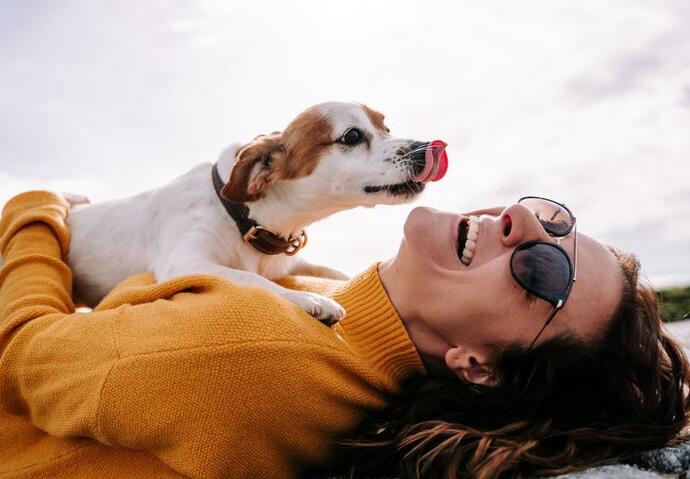 chien, mignon, relation, Homme