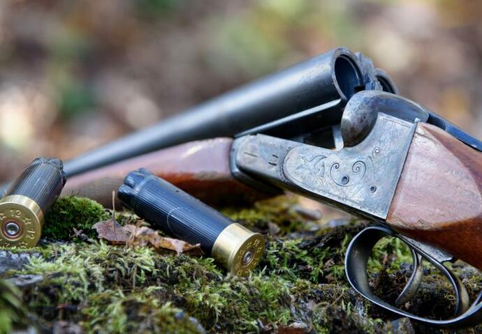 armes, etat, abandon, demarche, legalite