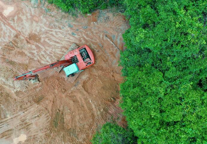 Déforestation