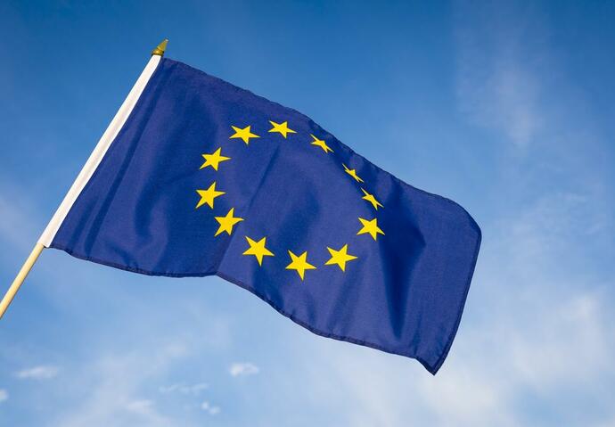 moteurs thermiques fin allemagne vote