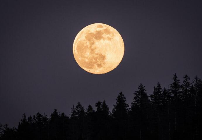 Lune Bleue 2023 Super Lune Bleue 2023 : un spectacle céleste à ne pas manquer