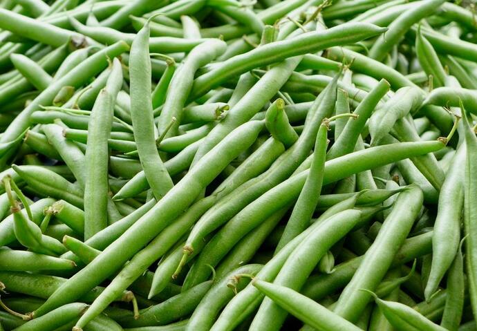 haricots verts rappel produit