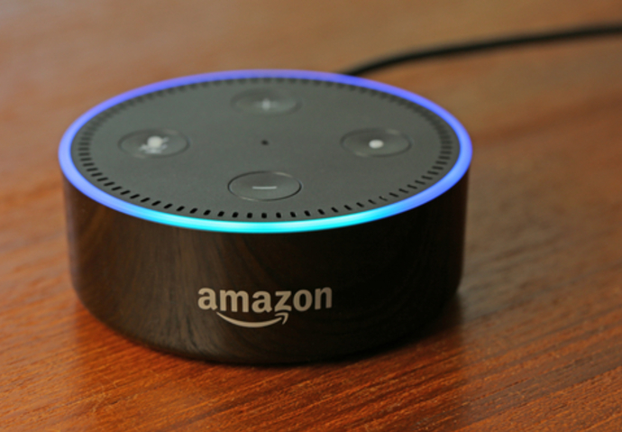 Alexa mort voix