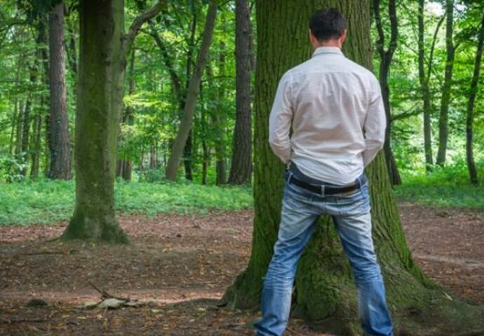 Il écope d'une amende après avoir uriné dans la nature