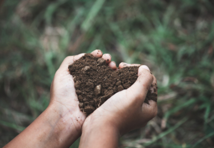 compost humain
