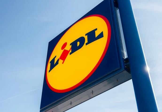 lidl, voiture, electrique